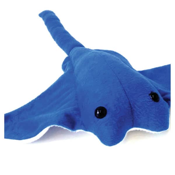 Arraia de Pelúcia Personalizada