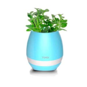 Vaso de Planta Musical com Bluetooth Personalizada