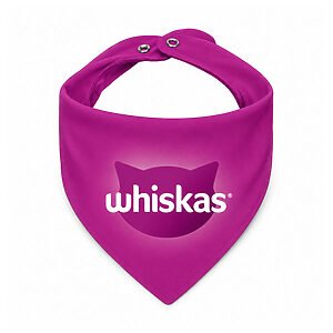 Bandana Pet Personalizada