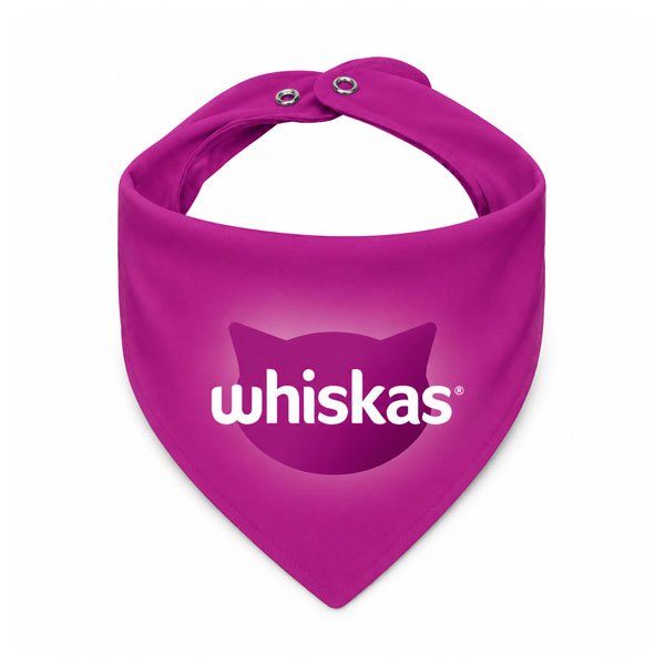 Bandana Pet Personalizada